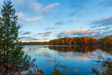 autumn landscape with lake