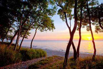 Schleswig-Holstein, Ostseeinsel Fehmarn, Naturstrand bei Katherienhof.