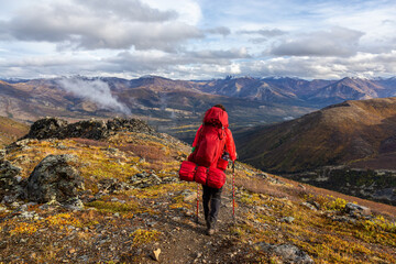 Naklejka premium Woman Backpacking along Scenic Hiking Trail surrounded by Mountains in Canadian Nature. Taken in Tombstone Territorial Park, Yukon, Canada.