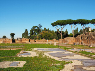 Ruins of Domus Flavia-Aula Regia at Roman Forum in Rome, Italy
