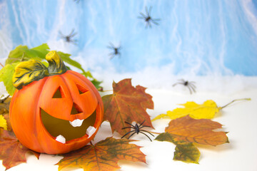 Pumpkin head autumn leaves and spiders. Halloween holiday decoration with pumpkin head Jack lantern and autumn leaves.