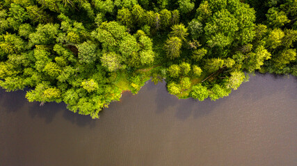  summer top view of the lake shore surrounded by forest