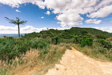 Fototapeta na wymiar Footpath and landscape on Coromandel Peninsula