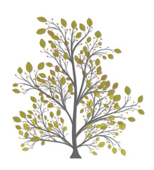 Autumn tree with yellow leaves and berries on a white background