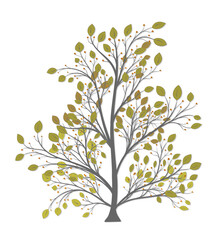 Autumn tree with yellow leaves and berries on a white background