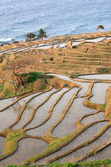 輪島白米千枚田