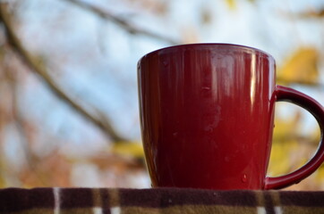 Red Cup of tea or coffee and warm plaid blanket on wooden rustic bench, picnic in the autumn...