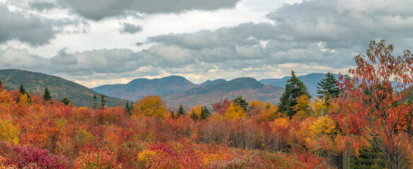 Obraz premium Along the Kancamagus Highway