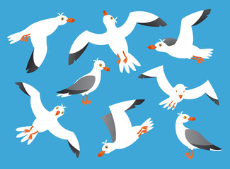 Seabirds, seagull cartoon vector illustration