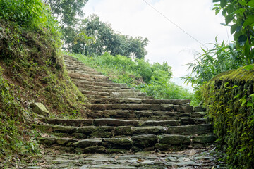 Mountain trekking trail with natural stone steps, passing through trees and walls overgrown with dense green moss
