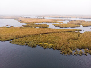 Aerial Shot of the Misty Autumn Floodplains of the Dnieper River with Reed islands in the river