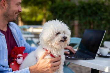 Businessman working on a coffee bar on a laptop with a dog in his lap