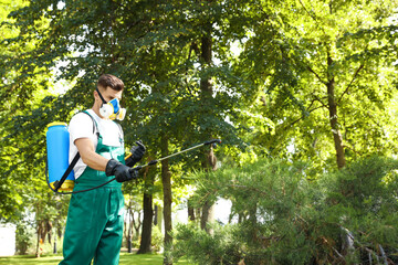 Worker spraying pesticide onto green bush outdoors. Pest control