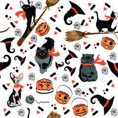 Los gatos de las brujas, patrón vector fondo para halloween