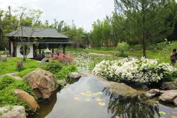Japanese lake with fish and Japanese house