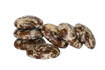 Delicious chocolate gingerbread isolated on a white background