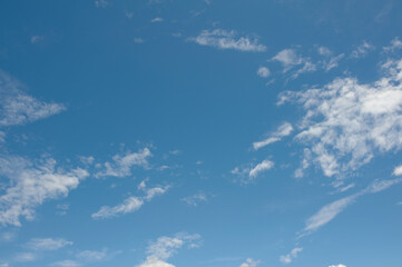 Fototapeta premium 台風一過の青空と雲