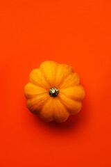 pumpkin with leaves