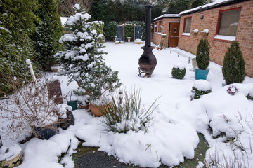 Winter garden background scene