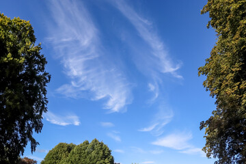 Stunning cirrus cloud formation panorama in a deep blue sky