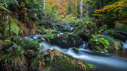 Entspannter Herbstabend im Bayerischen Wald mit Bachlauf und Herbststimmung