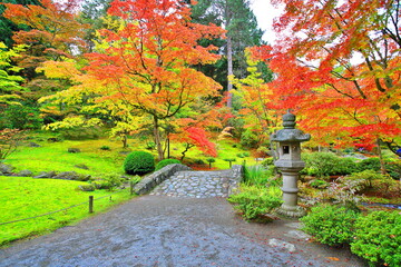 Japanese Garden in Autumn