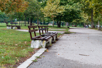 Empty Benches in Public Park in Autumn