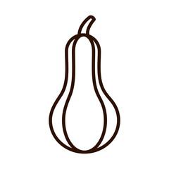 pumpkin vegetable fresh ripe line icon style
