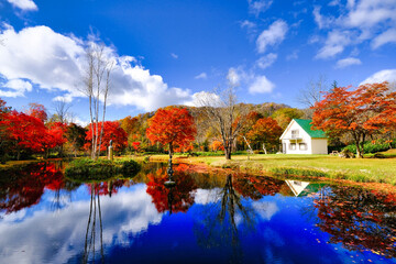 北海道の紅葉