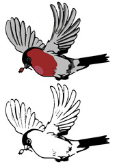 Doodle of flying bullfinch. Hand drawn vector illustration. Realistic vintage sketch of bird. Set of black contour and color elements isolated on white. Design for decor, print, card, sticker, poster.