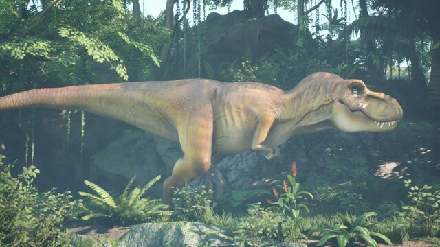 A predatory Tyrannosaurus Rex dinosaur sneaks up on its prey in the morning green jungle. View of the green prehistoric jungle forest on a Sunny morning.
