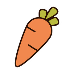 carrot vegetable fresh nature line fill icon