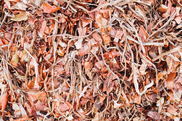 Onion husk after harvesting from the field, left to dry to compost.
