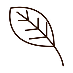 autumn leaf foliage nature line icon style