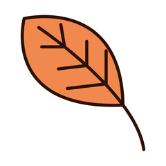 autumn leaf foliage nature line fill icon