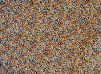 Floral Abstract