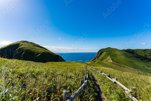 礼文島 桃岩展望台コース トレッキング Wall Mural Yusei