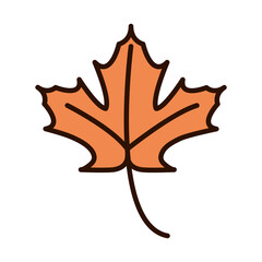 Obraz premium maple leaf foliage autumn nature line fill icon