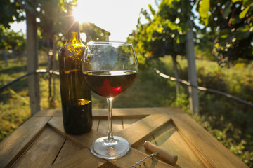 Bottle and glass of red wine on wooden table in vineyard