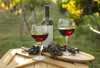 Composition with wine and ripe grapes on wooden table in vineyard