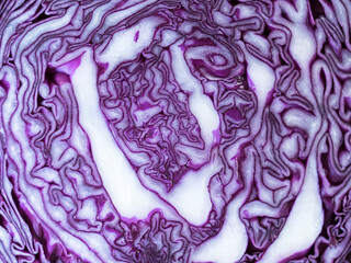 Obraz premium Red Cabbage Inside Pattern Close Up