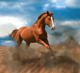 Beautiful horse kicking up dust while running through desert