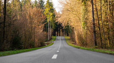 Fototapeta premium Waldstrasse 1