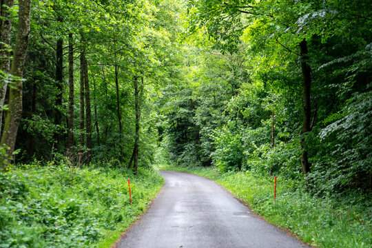Waldstrasse 2