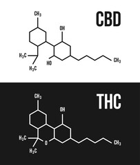 Fototapeta premium CBD and THC molecular structure illustrations. Cannabinol and Tetrahydrocannabinol chemistry cannabis formula vector