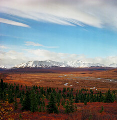 Obraz premium Fang Mountain in Denali National Park