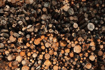Pile of timber