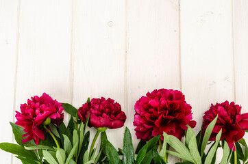 Beautiful fresh peony flower lies on wooden table.