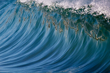 A wave breaking in Moss Landing