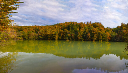 autumn landscape with lake